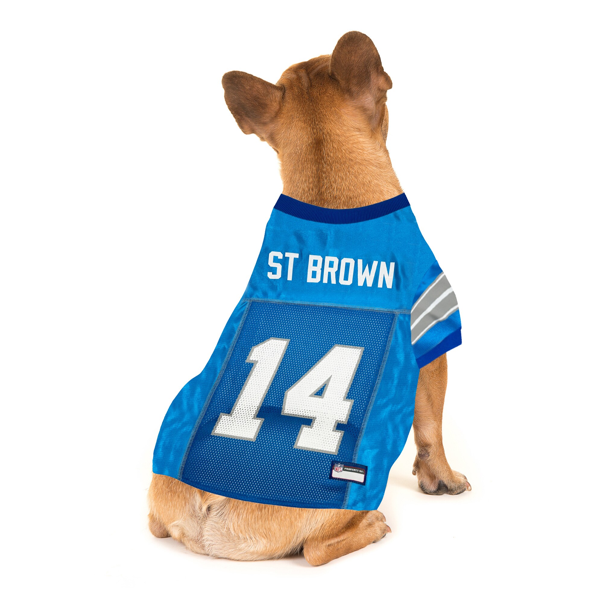 Amon-Ra St. Brown Blue Detroit Lions Player Pet Jersey