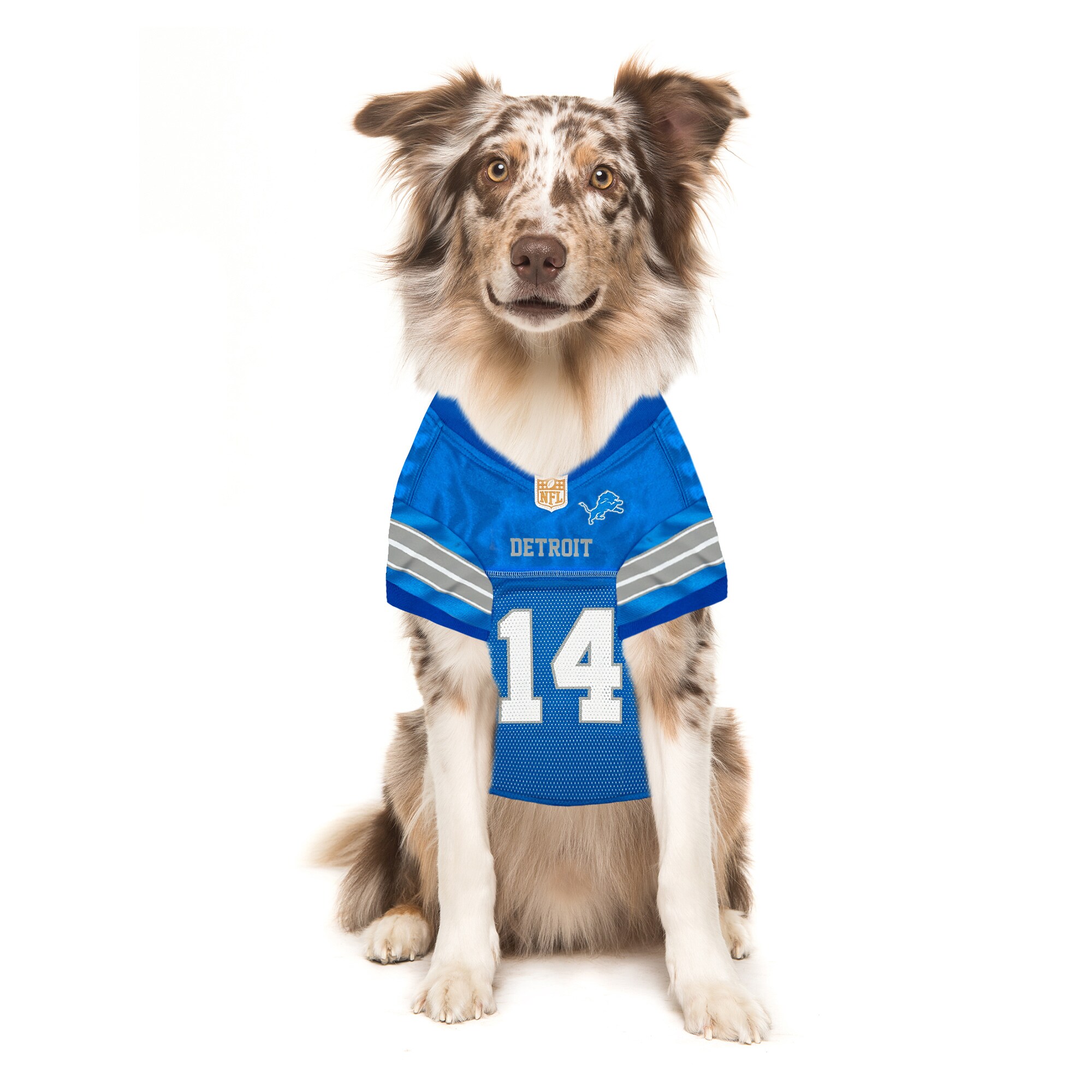 Amon-Ra St. Brown Blue Detroit Lions Player Pet Jersey