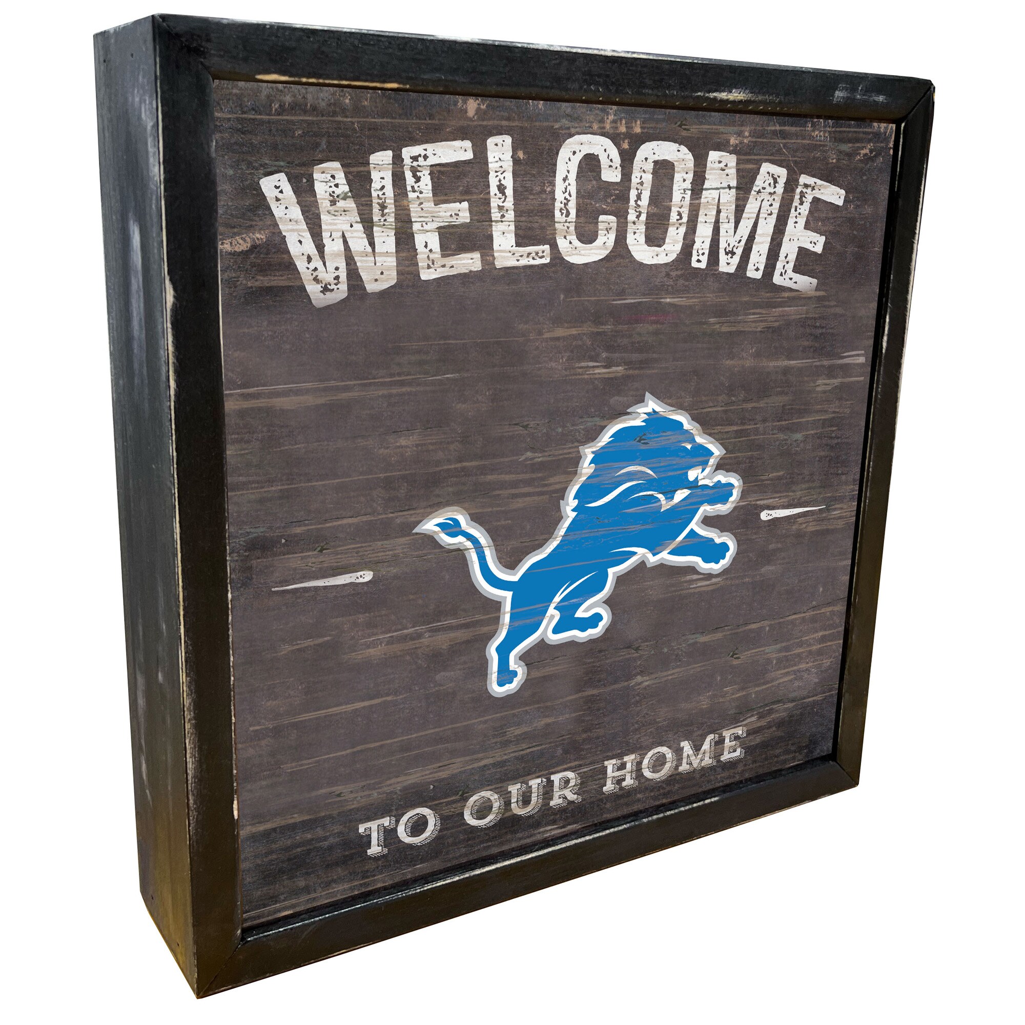 Detroit Lions 12" x 12" Concealment Case